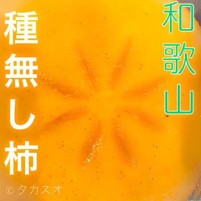 ふるさと納税 紀の川市 和歌山 柿農家直送 タカスオ農園 種無し柿 贈答用 2L主 大玉 7個入り 平均糖度16 |  | 02