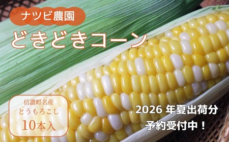2026年夏分のご予約受付中！ナツビ農園『どきどきコーン』10本セット（約4.5kg）信濃町名産とうもろこし／白と黄色のバイカラー品種 令和8年7月下旬～8月下旬に随時出荷予定【長野県信濃町ふるさと納税】