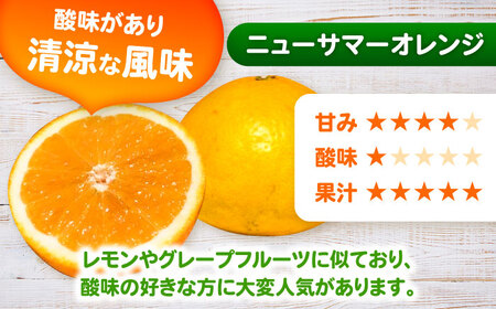 そのまんまニューサマーオレンジジュース 720ml×2本 / 佐賀県 / 山本農園 [41ATBT020]