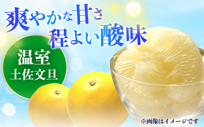 【先行予約】南国高知温室土佐文旦 約5kg 7玉〈2025年11月中旬～2026年2月中旬頃発送〉/ 文旦 ぶんたん 果物 フルーツ 高知名物 【フルーツショップオザキ】[ATAH016]