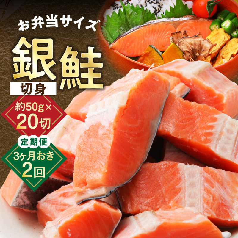 【定期便】銀鮭 切身 約50g×20切れ 全2回【2026年3月＆2026年6月発送 小分け 漁師 手切り 1kg さけ サケ 切り身 弁当 朝食 時短 訳あり サイズ不揃い 規格外 冷凍食品】 G3