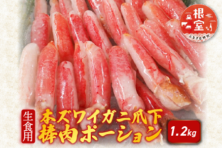 [12月10日決済分まで年内配送]生食用本ズワイガニ爪下棒肉ポーション1.2kg B-14086