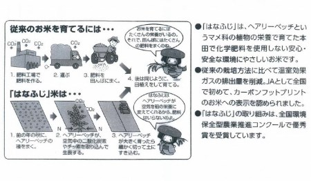 令和7年産 大津産コシヒカリ「はなふじ」 精米 5kg 米 [AZ001]