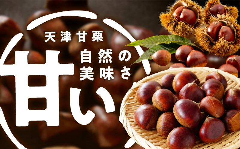 当店自慢の天津甘栗 1.2kg【小分け 400g×3P お菓子 おつまみ 人気 甘味料不使用】 099H2329
