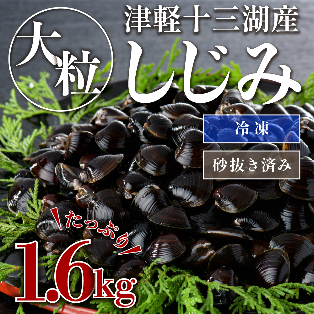 津軽十三湖産 大粒しじみ 1.6kg （冷凍・砂抜き済）青森県 五所川原市
