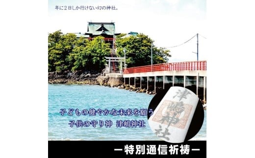 【ふるさと納税】 津嶋神社 小児守護神 津嶋神社 特別通信祈祷（授与品：御神札・御守り・撤饌・祈祷証明書） [ 御神札 お守り 通信祈祷 御守り おまもり 祈祷証明書 お宮参り 津嶋神社 小児守護神 ギフト館ふじむら ]