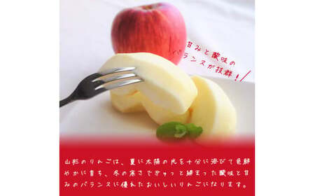 雪室 りんご「サンふじ」 5kg サイズおまかせ 【2026年1月下旬頃～2月下旬頃発送予定】2025年産 令和7年産　012-B-MM039