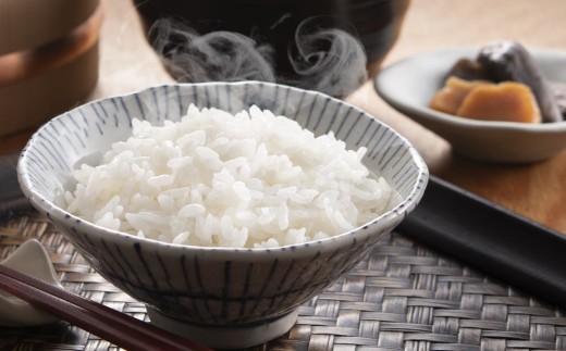 【令和8年産新米・11ヶ月定期便】特別栽培米 新之助 無洗米 5kg×11回（計 55kg）ファーミング・スタッフ 新潟県産[Y0631]