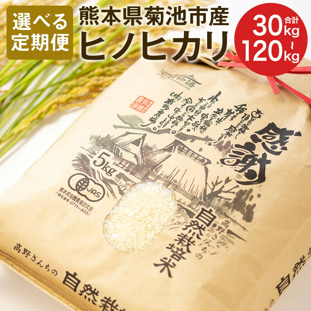【ふるさと納税】【選べる定期便】熊本県菊池産 ヒノヒカリ 白米 10kg 3ヶ月/6ヶ月/12ヶ月 定期便 七城物語 高野さんちの自然栽培米 精米 米 お米 自然栽培米 特A 国産 九州産 熊本県産 送料無料