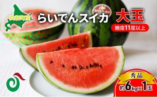 2025年 7月 出荷 先行予約 スイカ 北海道 共和町産 らいでんスイカ 大玉 約6kg フルーツ 果物 産地直送 JAきょうわ