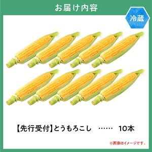 [1.12-359]【2025年先行予約】照之家商店 鮮度抜群とうもろこし10本 | とうもろこし トウモロコシ 北海道とうもろこし 朝採れとうもろこし 産地直送とうもろこし 北海道産とうもろこし