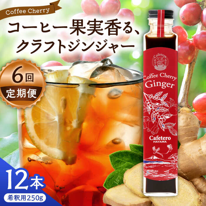 【ふるさと納税】【先行予約】【2025年7月中旬から順次発送】【全6回定期便】カフェテーロ葉山 チェリージンジャー 250g×12本 / ジュース 飲料 ジンジャー チェリー 250ml 葉山町【合同会社エンディレクト】[ASBM017]