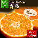 【ふるさと納税】三ヶ日みかん 青島 7kg M～2L 優品 1月中旬頃より順次発送 みかん ミカン 蜜柑 青島みかん 三ヶ日 果物 くだもの フルーツ 旬の果物 旬のフルーツ 柑橘 柑橘類 糖度 静岡 静岡県 浜松市　お届け：2025年1月中旬～2025年2月上旬