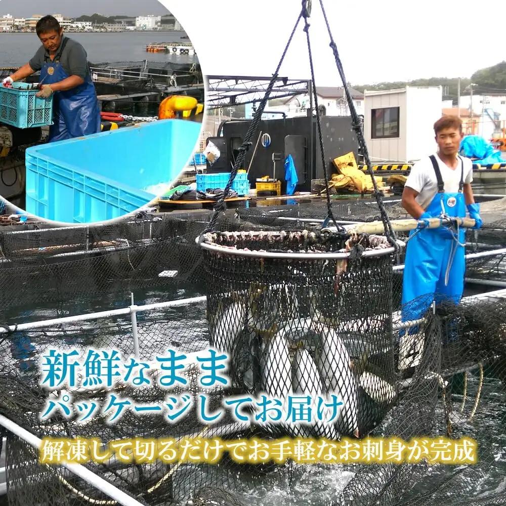 【 高鮮度 】 鮮魚活〆 ヒラメ お刺身 セット M079-002 魚 冷凍