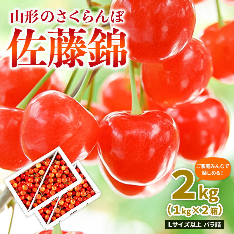 【ふるさと納税】【ご家庭みんなで楽しめる！2kg】山形のさくらんぼ 佐藤錦 2kg Lサイズ以上 バラ詰 (1kg×2箱) 【令和8年産先行予約】FS25-011