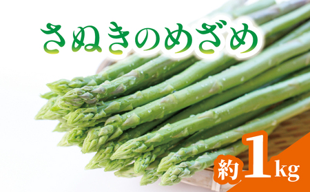 アスパラガス さぬきのめざめ 約1kg 配送：3月上旬～