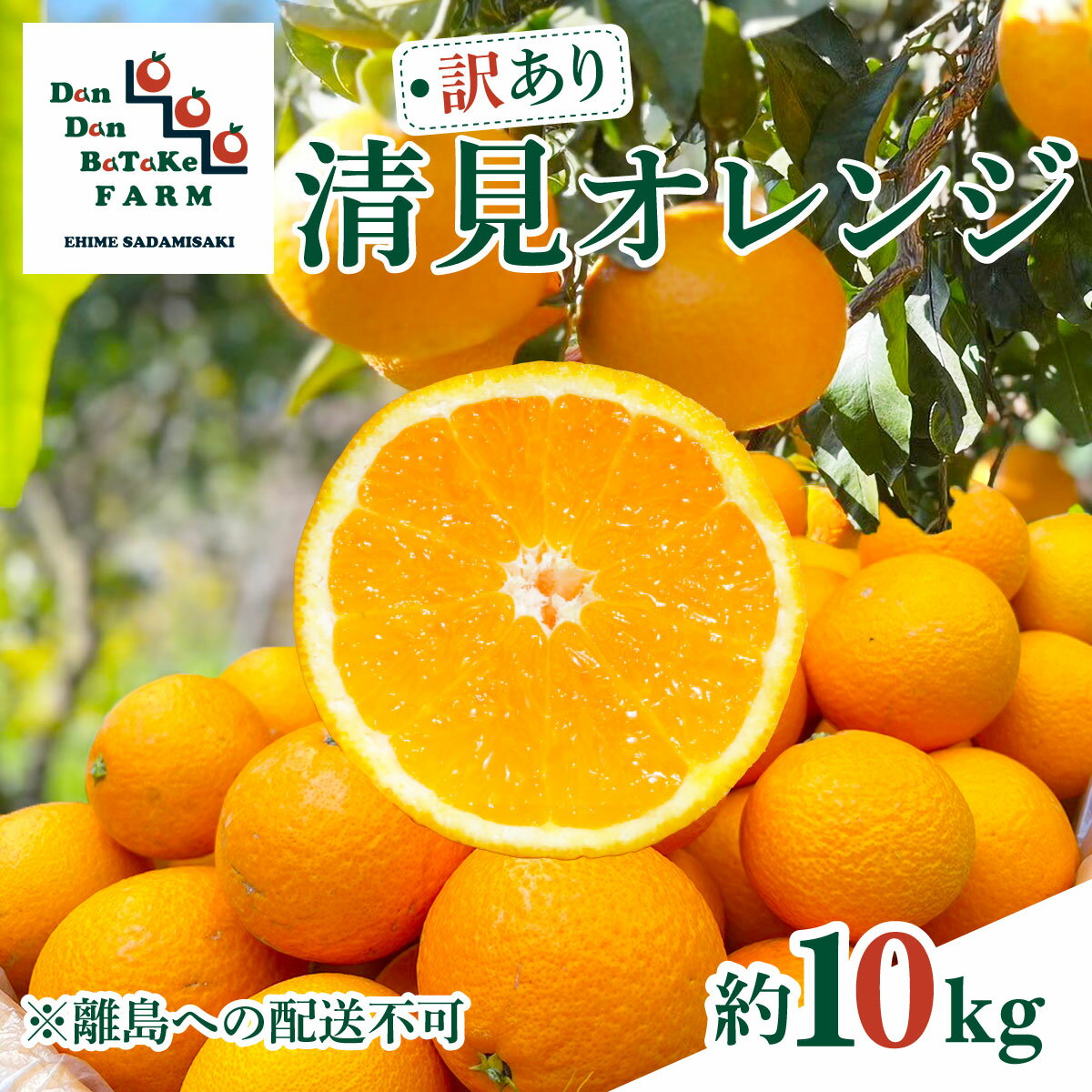 【ふるさと納税】【訳あり】清見オレンジ 約10kg ※離島への配送不可 【 ふるさと納税 人気 柑橘 みかん オレンジ 清見オレンジ 10kg 果物 フルーツ 訳あり 果物 くだもの 旬 愛媛県産 愛媛みかん Dan Dan BaTaKe FARM 産地直送 愛媛県 伊方町 送料無料 】 IKTAU011