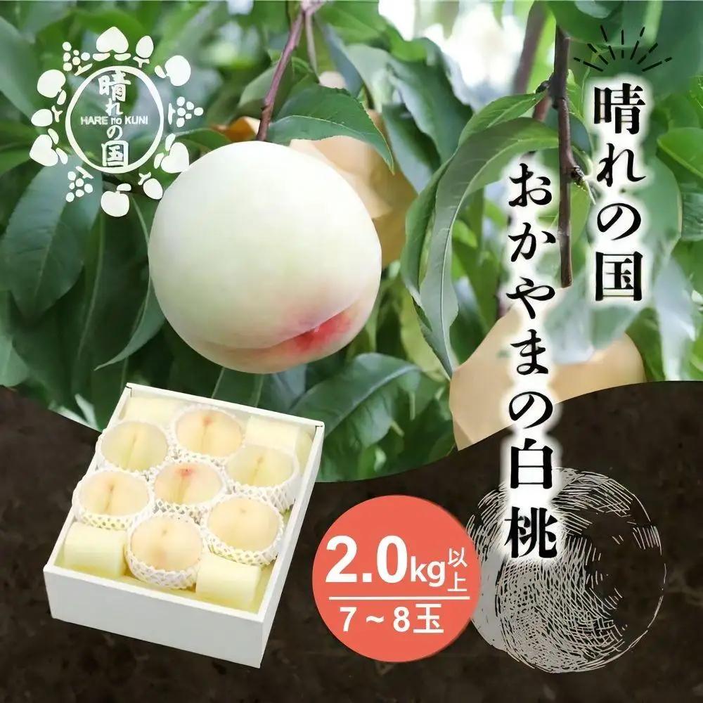 【先行予約】 白桃2.0kg以上（7～8玉）【８月中旬～９月上旬発送】【021-a027】