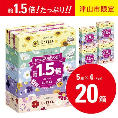 
            ＜津山工場限定＞エリエール i:na(イーナ)ティシュー 220組5箱×4パック(20箱)【1615610】
          