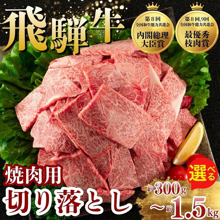 【ふるさと納税】【選べる内容量】飛騨牛 焼肉 切り落とし 300g～1.5kg | 牛肉 肉 切落し 飛騨牛 訳あり 訳アリ わけあり ワケアリ 不揃い 冷凍 まるたか 食品 バーベキュー BBQ 家用 家庭用 岐阜 瑞穂市