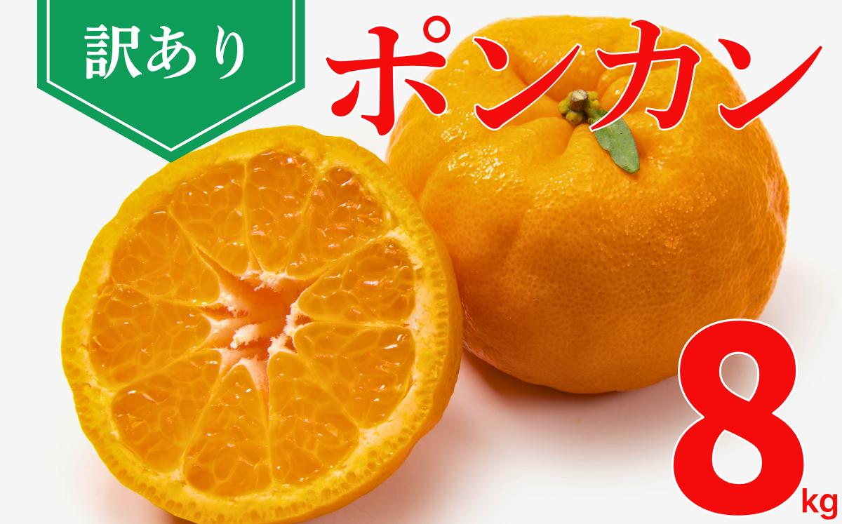 
            訳あり ポンカン 8kg 送料無料 みかん 柑橘 家庭用 ご家庭用 自宅用 お徳用 フルーツ セット 柑橘 詰め合わせ 甘い 高糖度 ジューシー 食べやすい ビタミンC 産地直送 愛媛産 愛媛県産 愛南産 人気 おすすめ お取り寄せ グルメ お歳暮 お年賀 お祝い 贈答用 贈り物 冬の果物 わけあり フルーツ ギフト ビタミンC 愛媛県 愛南町 ひなたのみかん
          