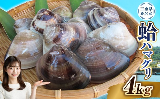 【指定日必須】 丸元水産 桑名産蛤（ハマグリ） 4.0kg はまぐり 蛤 天然蛤 砂出し済 【2025年9月下旬から2026年6月下旬発送予定】
