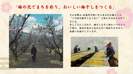 郡上延年梅シリーズ４点セット
