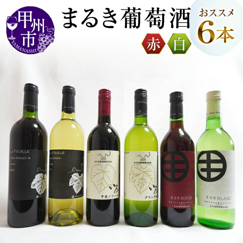 【ふるさと納税】 ワイン 日本ワイン 甲州ワイン 白ワイン 赤ワイン 6本 セット まるき葡萄酒 いろ甲斐ノワール ラフィーユ樽 甲州白 ベーリーA ライトボディ ミディアムボディ 辛口 やや辛口 おススメ ヴィンテージ 勝沼 母の日 父の日 記念日 （MG）【E-622】