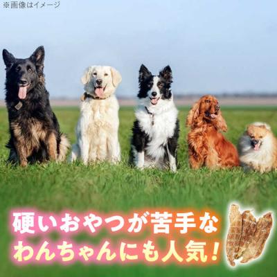 ふるさと納税 糸島市 わんこのおやつ(犬)無添加手づくり鶏むねジャーキー5袋 mogmogfactory[AXO001] |  | 01