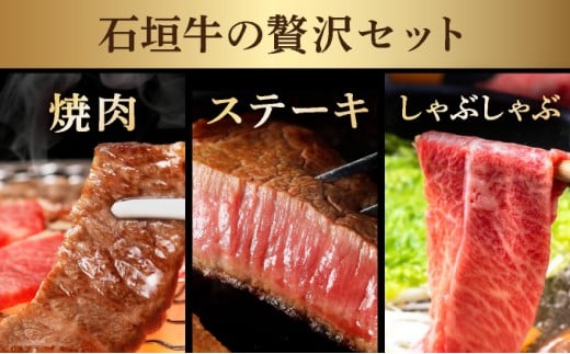 【2025年11月以降順次発送】【3回定期便】希少な特選石垣牛をご家庭で！！全3回合計1.1kg　上カルビ、ヒレステーキ各400gずつ、特選しゃぶしゃぶ用300g & 石垣牛 MARU秘伝の焼肉タレ1