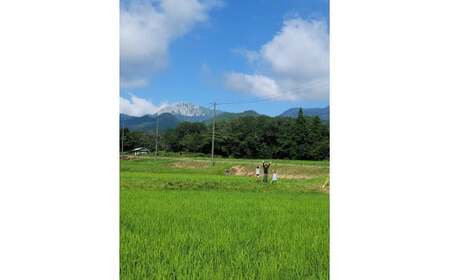 【令和７年産米】 【数量限定】大山山麓関金産 コシヒカリ 8kg (5kg×1袋、3kg×1袋) 令和7年産 新米 お米 米 こめ コメ 米 こめ コメ 米 こめ コメ 白米 ブランド おいしい 健康