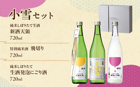 （2025年11月上旬頃から順次発送）（小雪セット）純米しぼりたて生酒 新酒天領 720ml・純米しぼりたて 生酒発泡にごり酒 720ml・特別純米酒 飛切り 720ml 酒 お酒 天領酒造 天領 下