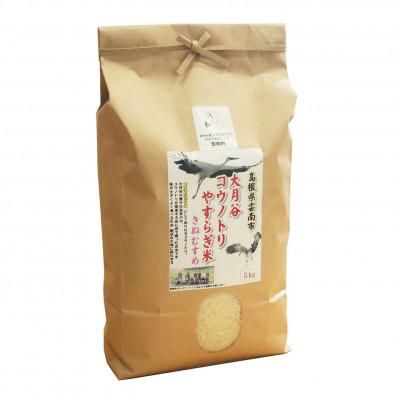 ふるさと納税 雲南市 【毎月定期便】島根県雲南市「大月谷コウノトリやすらぎ米」きぬむすめ　5kg(5kg×1)全3回 |  | 01