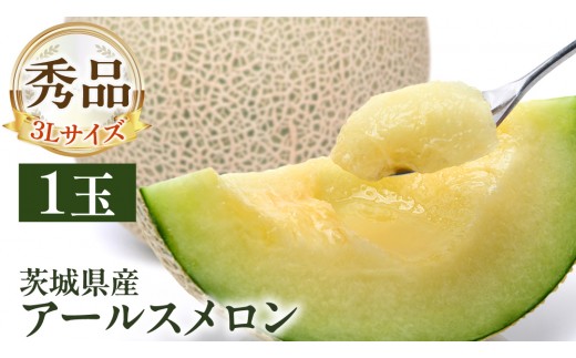 
                  【 先行予約 】茨城県産 アールスメロン 秀品 3L サイズ × 1玉 入り 【 2026年8月下旬から発送 】 おすすめ JA全農いばらき JA メロン めろん ふるさと納税 フルーツ 予約 マスクメロン くだもの 果物 国産旬 定番 旬 期間限定 青肉 果物
                