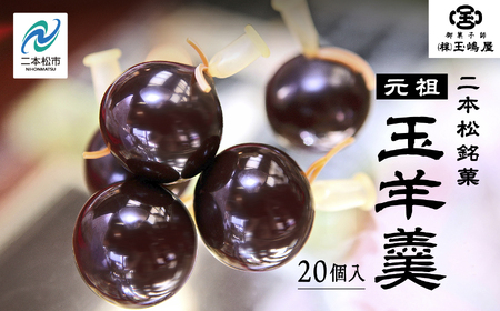 羊羹 玉嶋屋の玉羊羹 20個入り ようかん【株式会社玉嶋屋】