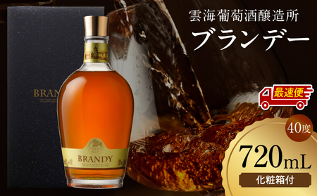 【最速便】雲海葡萄酒醸造所 ブランデー 720ml 国産 国産ブランデー 酒 洋酒 お酒 アルコール 果実酒 葡萄酒 熟成 蒸留 贈答用 贈り物 ギフト プレゼント 記念日 誕生日 イベント 手土産
