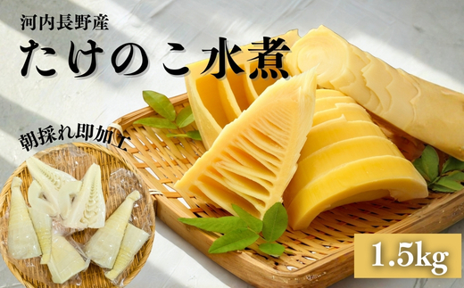 【2026年5月以降順次発送】国産 たけのこ 水煮 1.5kg 朝採れを即加工 タケノコ 竹の子 筍 小分け 長期保存 真空パック たけのこご飯 煮物 河内長野市 こだわりの逸品 地域特産品 ギフト 自分用 人気 おすすめ 15005-40001076-k