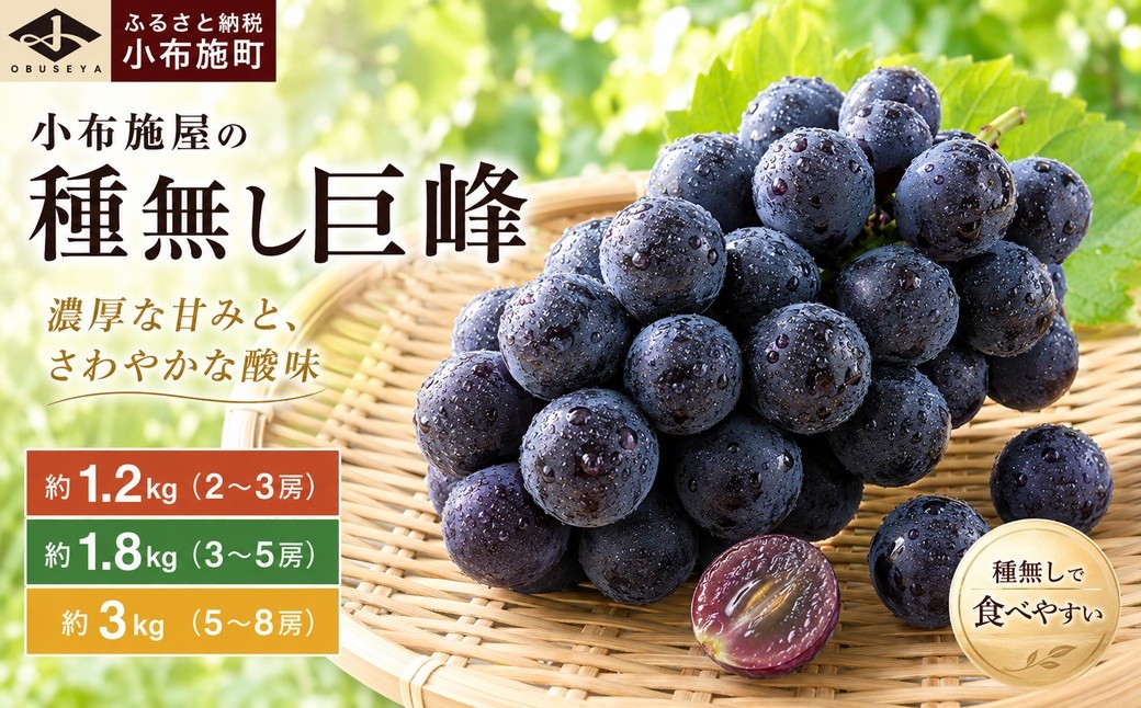 
                  長野県産 種無し巨峰 約1.2kg 約1.8kg 約3kg 選べる内容量 ［小布施屋］ 果物 フルーツ ぶどう 葡萄  種無し 種なし 令和8年産【2026年9月上旬～10月発送】
                