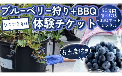 【寄附受付は2025年8月5日まで】 ブルーベリー狩り ＋ DAYキャンプ 体験チケット 《シニア２名様プラン レンタルBBQ道具＋お土産付き》 ブルーベリー ベリー 食べ比べ 食べ放題 収穫 収穫体験 キャンプ BBQ バーベキュー 肉 旅行 レンタル 体験 チケット 招待券 レジャー 観光 シニア ふれあい お土産 おみやげ 持ち帰り テイクアウト 多品種 果実 果物 [DZ017sa]