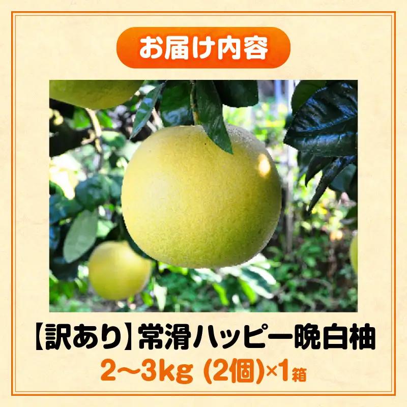 【先行予約】【訳あり】常滑ハッピー晩白柚 2kg～3kg（2個）｜ ばんぺいゆ フルーツ 常滑市