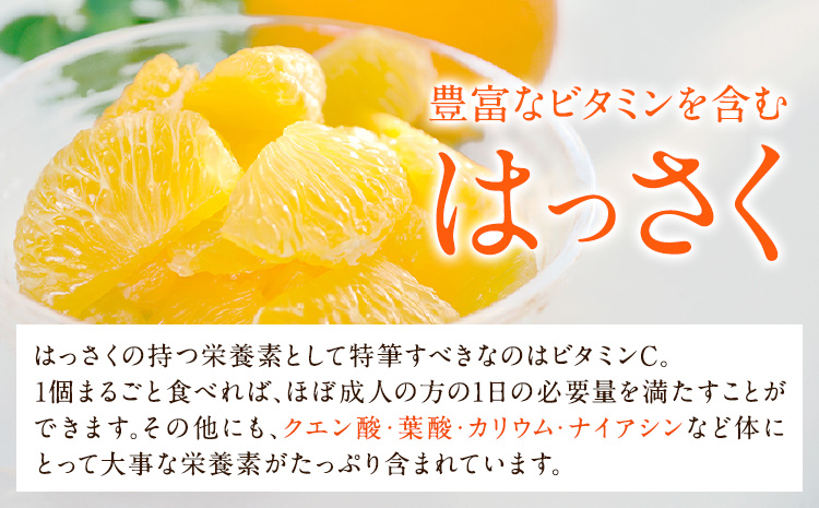 和歌山産 手剥き八朔缶詰 (450g×8缶入り) はっさく 柑橘《30日以内に出荷予定(土日祝除く)》 紀の川市厳選館 和歌山県 紀の川市 フルーツ 果物 缶詰---wsk_gsk45_90d_23_