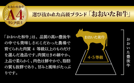おおいた和牛 たれ漬け焼肉 150g×4p 合計約600g 牛肉 豊後牛 国産牛 炒め物 丼 牛丼 プルコギ バーベキュー おかず お弁当 小分け 時短料理 惣菜 冷凍 大分県産 九州産 津久見市 国