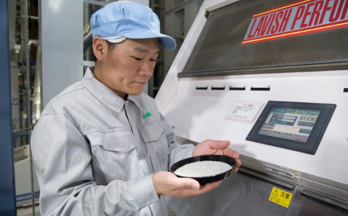 【先行予約】【6回定期便/固定月】 無洗米 令和8年産 北海道 ゆめぴりか 精米 5kg | 2026年11月以降順次発送 | 白米 お米 米 北海道産 コメ | 株式会社松原米穀 [BOCG038]