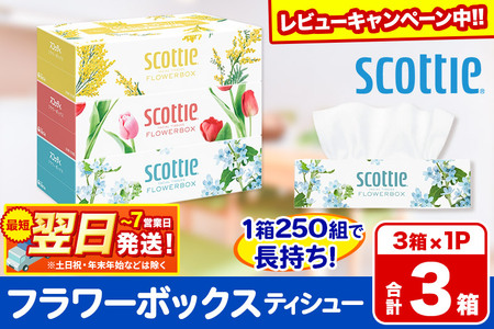 ティッシュペーパー スコッティ ティシュー フラワーボックス 250組 3箱パック×1パック 秋田市オリジナル 最短翌日発送