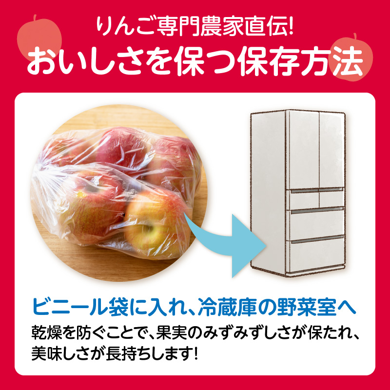 《先行受付》【2027年2月発送予定】 最高級 特選大玉サンふじ約3kg 【大江町産・山形りんご・大地農産】