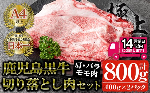 
鹿児島黒牛 切り落とし肉詰め合わせ(計800g・400g×2P) 国産 黒毛和牛 切り落とし【佐多精肉店】A23-v02
