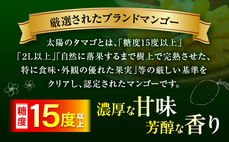 《2026年発送先行予約》【数量・期間限定】【全3回】太陽のタマゴ定期便 マンゴー 宮崎マンゴー 定期便 果物定期便 果物 フルーツ定期便 フルーツ デザート
