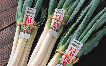 【朝来市ふるさと納税限定】 先行予約 岩津ねぎのキムチ 3箱450g AS2AA5-3