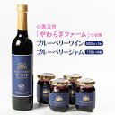 【ふるさと納税】小美玉ブルーベリーワイン1本＆ブルーベリージャム4個セット ブルーベリー ワイン ブルーベリーワイン ジャム ブルーベリージャム フルーツ 果物 ビタミンE アントシアニン 栄養 目にいい 健康 美容 ギフト 贈り物 茨城県産 プレゼント セット お酒 9－B