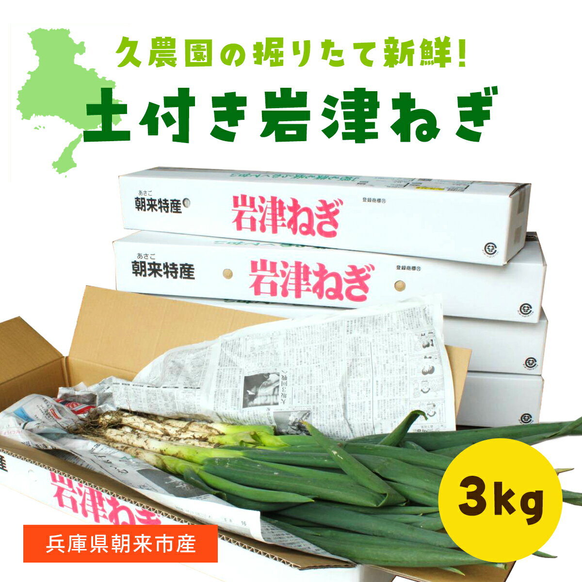 【ふるさと納税】【12月16日以降順次発送】冬季限定 知る人ぞ知るご当地ねぎ！朝来市特産の土付き岩津ねぎ 3kg(箱入り) 兵庫県 朝来市 AS2B20 岩津ねぎ ねぎ ネギ 葱 長ねぎ 長ネギ 長葱 ブランドねぎ ブランドネギ ブランド葱 期間限定 数量限定 野菜 旬の野菜 冬野菜